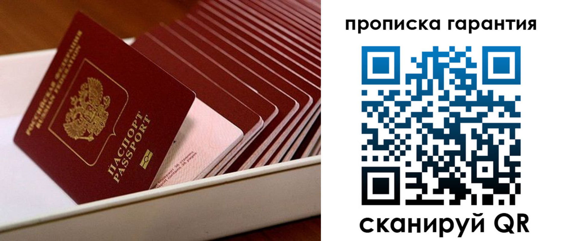 прописка поиск в Красном Куте